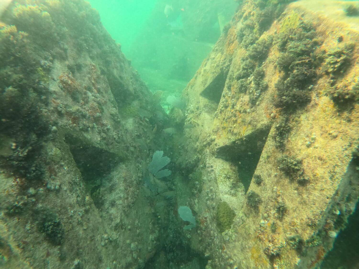 Recuperación de Playas, Control de Erosión, Construcción Marina